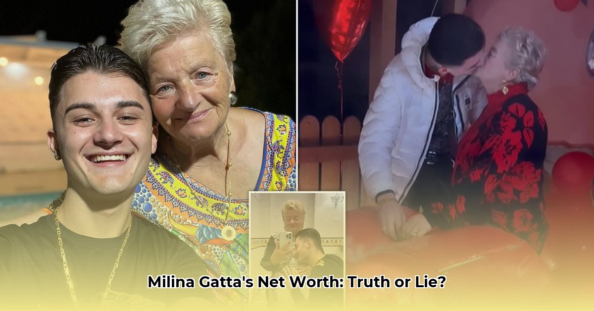 milina-gatta-net-worth